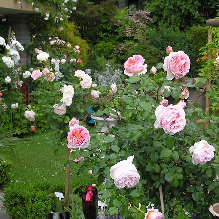Wolfhausen Im Roeseligarten מראה חיצוני תמונה